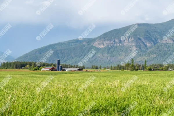 Scenic farm view