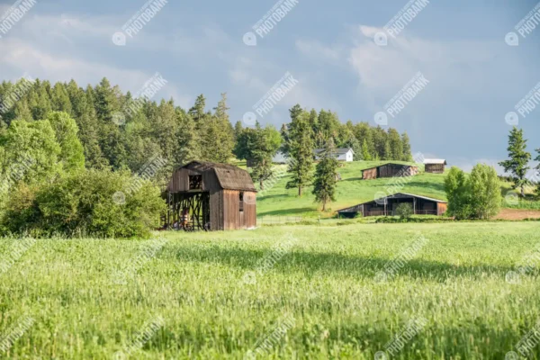 Farm buildings in field