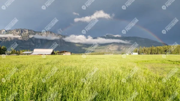 Rainbow over farm