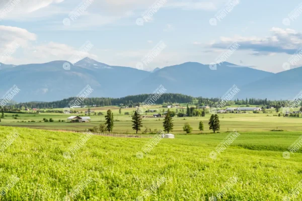 Scenic view of farms