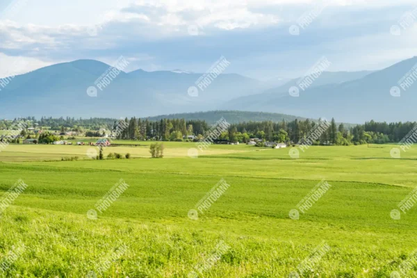 Field landscape