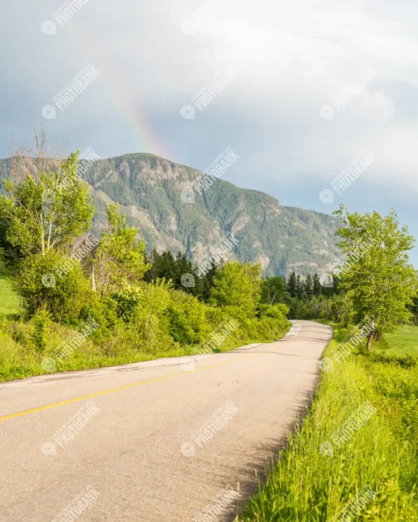 Road leading to mountains